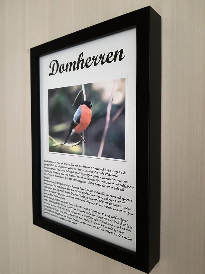 Takern Vandrarhem Svanshals Esterno foto