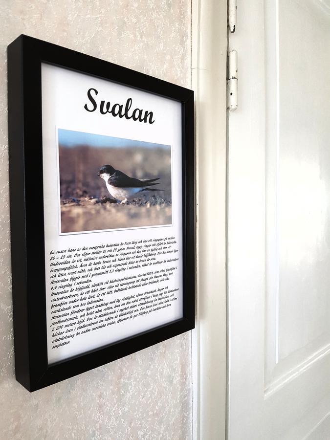 Takern Vandrarhem Svanshals Esterno foto